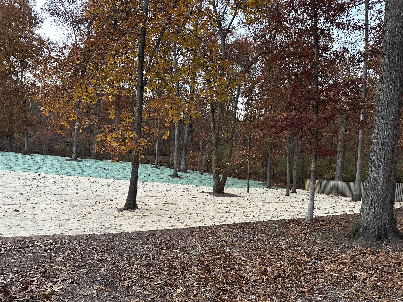 Freshly seeded slope covered with erosion control matting under mature oaks